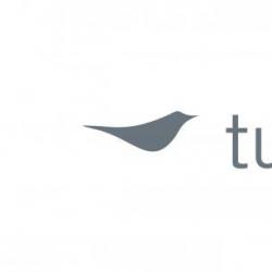 Turnstone® Founded